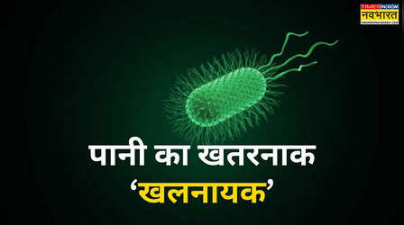 इंदौर के पानी में घुला 'जहर', जानिए क्या होती है E. coli, क्यों जानलेवा बन जाता है यह मल बैक्टीरिया