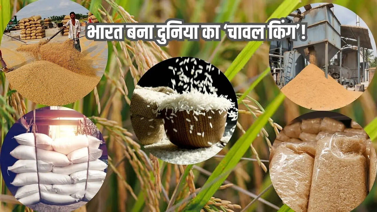 भारत ने चीन को पछाड़ा, चावल उत्पादन में बना दुनिया का नंबर 1 देश ...