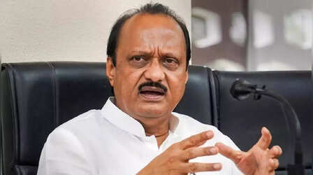 टाइम्स नाउ से बोले अजित पवार: चाचा से गठबंधन सिर्फ निकाय चुनाव तक, महायुति में सब All Is Well; औवैसी को लगाई फटकार