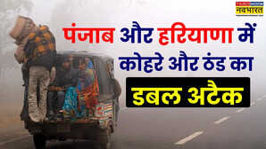 पंजाब और हरियाणा का मौसम 13 Jan 2026 Punjab and Haryana Weather Today भीषण शीतलहर जारी पारे ने लगाया गोता