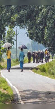भारत का वो गांव जहां से पैदल ही पहुंच जाएंगे विदेश