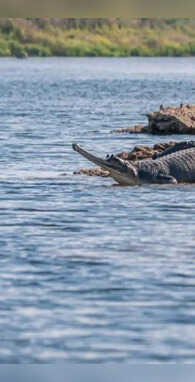 ये है भारत की श्रापित नदी पानी छूने से भी डरते हैं लोग