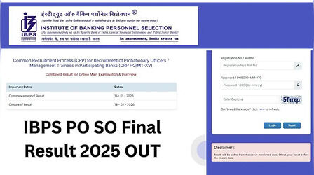 IBPS PO Final Result 2025 OUT: घोषित हुए आईबीपीएस पीओ फाइनल परीक्षा के रिजल्ट, इस डायरेक्ट लिंक से करें चेक
