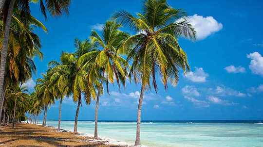 भारत के इस जगह को कहते हैं कोकोनट आइलैंड जानें क्यों पड़ा यह नाम