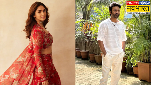 मृणाल ठाकुर और धनुष फरवरी में लेंगे एक दूजे के संग सात फेरे इस तारीख को बजेंगी शहनाइयां