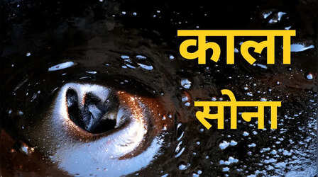 काले सोने को क्यों कहते हैं ग्लोबल इकोनॉमी का इंजन? एक चाल से हिल जाती है पूरी दुनिया!
