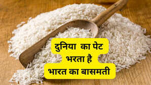 2 देशों की लड़ाई में भारत के बासमती चावल कारोबार पर मंडराया संकट गिर सकते हैं दाम