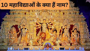 गुप्त नवरात्रि पर किन 10 महाविद्याओं की पूजा होती है  किस दिन कौन सी देवी की करें पूजा जानिए पूजा विधि और महत्व