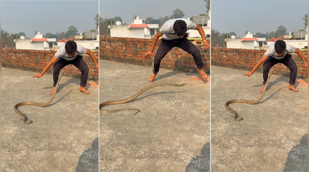 Viral Video: सांप के साथ खेल रहा था शख्स, फिर जो हुआ उसे देखकर रोंगटे खड़े हो जाएंगे