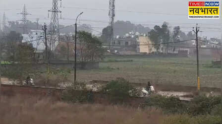 Punjab Weather: बसंत पंचमी पर मौसम ने दिया धोखा, पंजाब में जालधंर समेत कई जिलों में झमाझम बारिश, पतंगबाजी में आई बाधा!