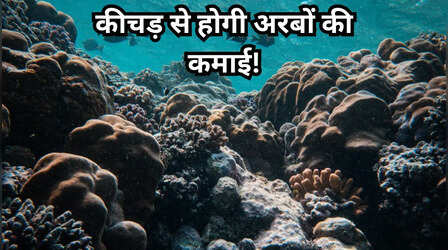 कीचड़ से अरबों की कमाई का इस देश ने बनाया प्लान, सुनकर आप भी कहेंगे वाह क्या दिमाग है!