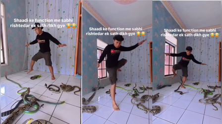 Viral Video: जहरीले सांपों के बीच पहुंच गया शख्स, फिर जो हुआ उसे कमजोर दिलवाले बिल्कुल ना देखें