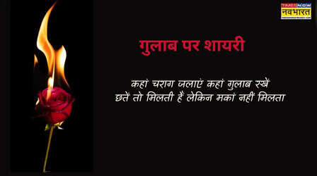Rose Shayari: यहां पढ़ें गुलाब पर शायरी, दिल में इश्क जगा देंगे गुलाब पर लिखे ये शेर