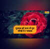 Rose Day 2026 गुलाब हमें क्या सिखाता है सबसे सुंदर गुलाब कौन सा है