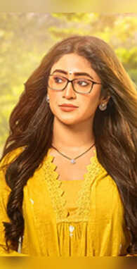 2026 शुरू होने से पहले ही बंद हुए ये TV शोज लुट गए मेकर्स