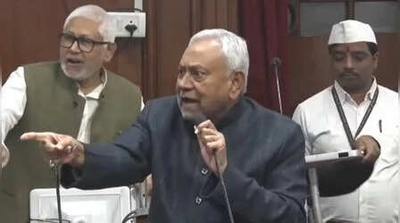 ई तीन गो ज्यादा हल्ला कर रही है, जानें नीतीश कुमार ने विधान परिषद में किसकी ओर इशारा कर कही ये बात