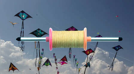 हरियाणा सरकार का जन-सुरक्षा और पर्यावरण संरक्षण को लेकर कदम, चाइनीज मांझा पूरी तरह प्रतिबंधित