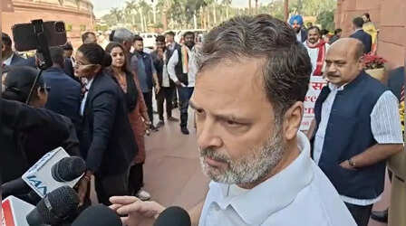 राहुल गांधी बोले - 'मुझे भरोसा है कि नरवणे सच बोल रहे हैं और पेंग्विन झूठ'