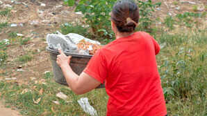 Shocking News महिला ने कचरे में फेंका 12 लाख का सोना और फिर बाद में