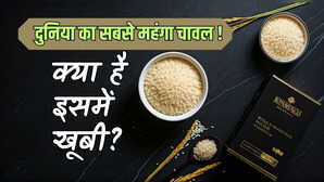 दुनिया का सबसे महंगा चावल कौन सा है क्या है इसकी खूबी कैसा होता है खाने में स्वाद - जानें यहां