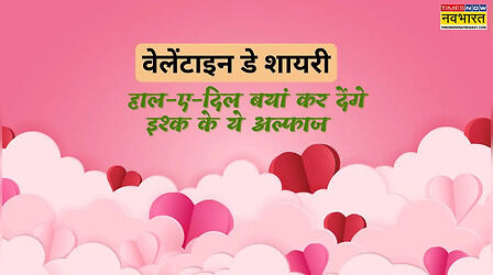 Happy Valentine Day 2026 Shayari in Hindi: पार्टनर पर लुटाएं प्यार, वेलेंटाइन्स डे की रोमांटिक शायरी से कहें दिल की बात