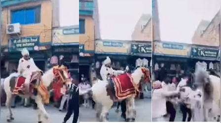 Viral Video: दूल्हे के बैठते ही बिदक गई घोड़ी, फिर लड़के का जो हुआ हाल, देखकर उछल जाएंगे आप