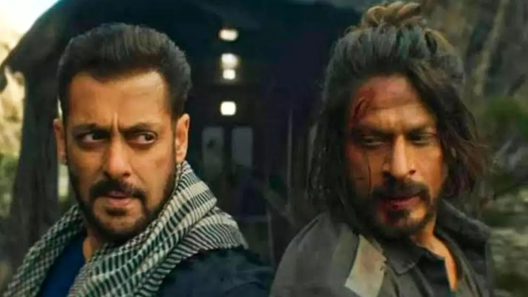 Tiger Vs Pathaan नहीं बनेगी शाहरुख-सलमान की फिल्म बढ़ते बजट के चलते मेकर्स ने लिया फैसला