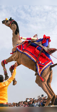 ऊंटों का गढ़ कहा जाता है भारत का ये खूबसूरत शहर 99 लोगों नहीं पता होगी जगह