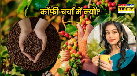 ये हैं दुनिया के टॉप 5 बड़े कॉफी उत्पादक देश, हर दिन 2.2 अरब कप पी जाते हैं लोग, चर्चा में क्यों?