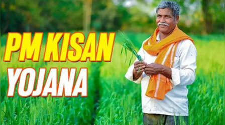 PM Kisan Yojana: इन गलतियों की वजह से रुक सकती है 22वीं किस्त, तुरंत चेक करें अपना अकाउंट