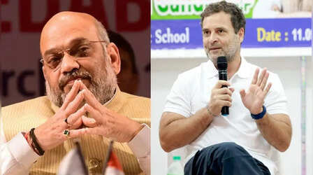 'मुझ लगे सभी आरोप राजनीतिक...' अमित शाह टिप्पणी से जुड़े मानहानि मामले में सुल्तानपुर कोर्ट में पेश राहुल ने दर्ज कराए बयान