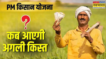 PM Kisan की 22वीं किस्त कब आएगी? जानें पिछले कुछ सालों का पैटर्न, जल्द मिलेगी खुशखबरी