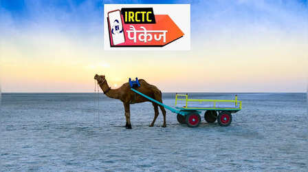 परिवार के साथ प्लान करें रण उत्सव ट्रिप, फ्लाइट पैकेज में मिलेगा पूरा आराम