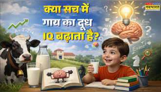 क्या सच में गाय का दूध IQ बढ़ाने में भैंस के दूध से बेहतर है, जानिए क्या कहती है साइंस