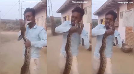 Viral Video: कैमरे के सामने अजगर ने शख्स पर किया ऐसा हमला, नजारा देखकर दिल दहल जाएगा