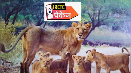 आस्था और एडवेंचर का संगम, गुजरात के प्रसिद्ध मंदिरों के साथ गिर नेशनल पार्क का यादगार सफर