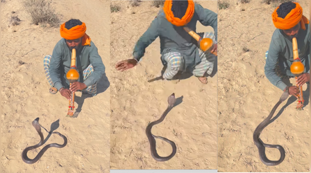Viral Video: जहरीले सांप के आगे बीन बजा रहा था सपेरा, फिर जो हुआ उसे देख धरती हिल जाएगी