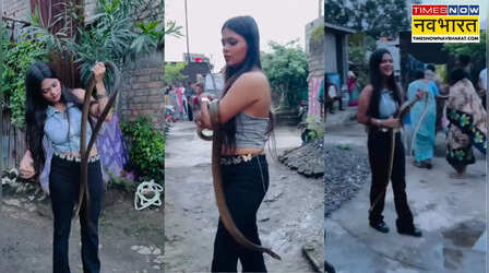 Viral Video: कमरे में निकला लंबा और खतरनाक सांप, लड़की ने ऐसे पकड़ा जैसे खिलौना; वीडियो देख दंग रह गए लोग