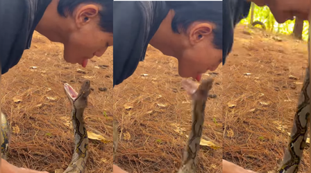 Viral Video: सांप के मुंह में जीभ डाल रहा था शख्स, फिर जो हुआ उसे देखकर थर्रा जाएंगे आप