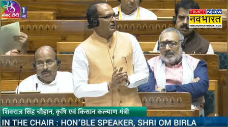MSP के जरिये किसानों की आय और सुरक्षा दोनों की गारंटी, लोकसभा में बोले शिवराज सिंह चौहान