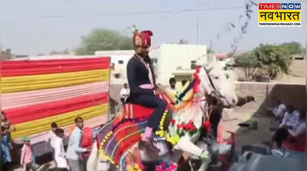 Viral Video: शादी में दिखा अनोखा नजारा! घोड़ी संग सीढ़ियां चढ़ता दूल्हा, फिर हुआ बड़ा ट्विस्ट