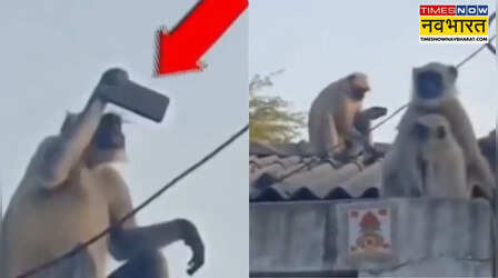 Viral Video: बंदर ने छीना फोन, फिर खुद ही लेने लगा सेल्फी और... पूरी वीडियो देख नहीं रुकेगी हंसी