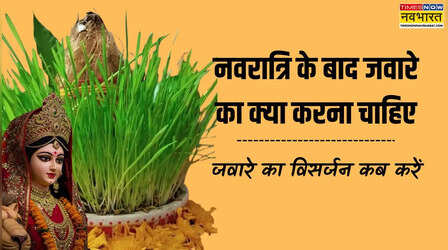 नवरात्र के बाद ज्वारे का क्या करें, नवरात्र में बोई गई खेतरी का क्या करना चाहिए