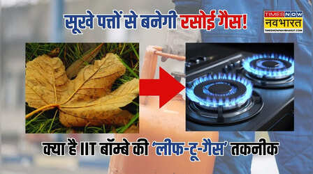 EXPLAINED: सूखे पत्तों से बनेगी रसोई गैस, LPG संकट के बीच जानें क्या है IIT बॉम्बे की 'लीफ-टू-गैस' तकनीक