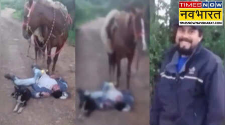 Viral Video: शराब के नशे में चूर होकर बीच सड़क पर ही सो गया शख्स, सुरक्षा में पास खड़े रहे पालतू घोड़ा और कुत्ता