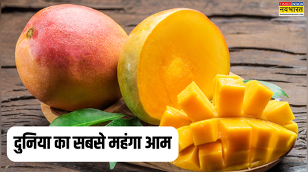 सेकंड हैंड कार की कीमत में मिलता है दुनिया का सबसे महंगा आम, ये है ये नाम, स्वाद का है बादशाह