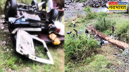 Himachal Pradesh: कुल्लू में मौसम बना काल! तेज आंधी से गाड़ी पर गिरा पेड़, चार टीचरों की दर्दनाक मौत
