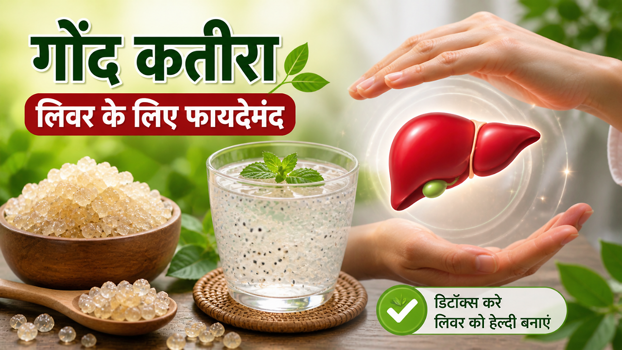 क्या गोंद कतीरा लिवर के लिए अच्छा है, Fatty Liver में गोंद कतीरा खाने ...
