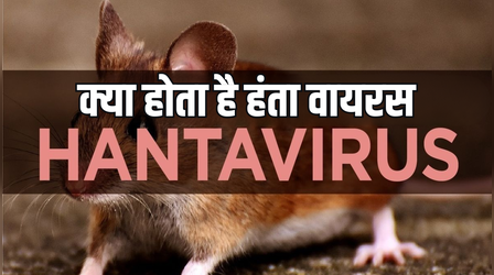Hantavirus: क्या है हंता वायरस, क्रूज शिप्स पर बढ़ते मामलों ने क्यों बढ़ाई टेंशन - जानिए शुरुआती लक्षण और बचाव