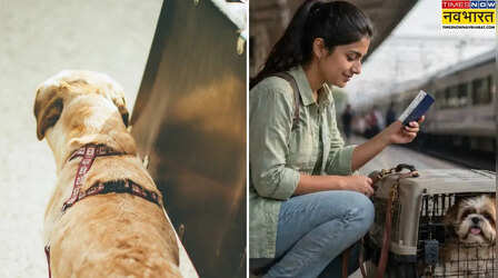 Pet Travel Train: बिना टेंशन पालतू के साथ करें यात्रा, जानिए पेट बॉक्स नियम